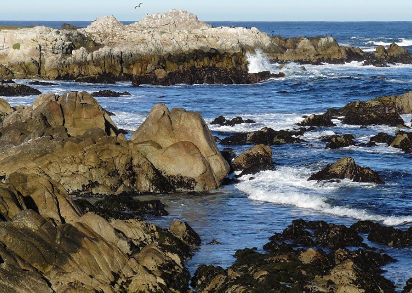 Asilomar State Beach, California, USA